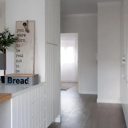 Apartamento Modeno E Acolhedor Com Terraco Apartamento Montijo