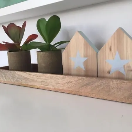 Apartamento Modeno E Acolhedor Com Terraco *